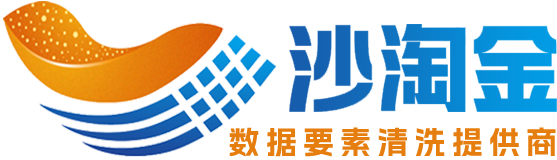 沙淘金数据治理